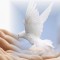 5 ways to make peace with your past this January