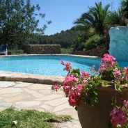 June 1st – 5th Just Stop! Yoga & Lifestyle Detox Retreat